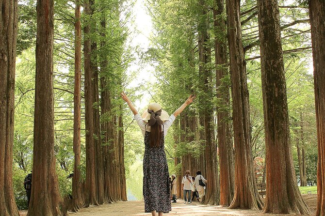 Nami Island/Alpaca/Rail Bike/Petite France/Morning Calm Tour - The Sum Up