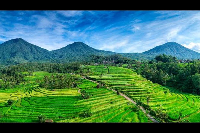 Natures Beauty Unveiled: Jatiluwih Rice Terrace and Temple - Discover the Temple Complex