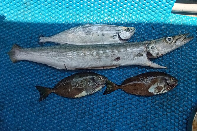 Nha Trang Private Day Trip Fishing With The Locals - Frequently Asked Questions