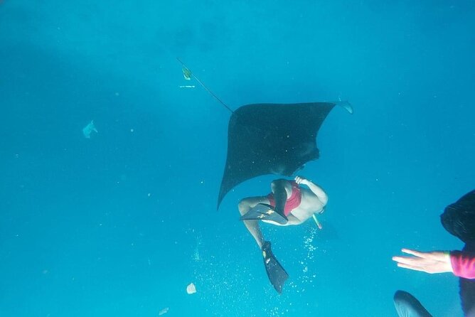 Nusa Penida Land Tour and Private Snorkeling - All Inclusive - Booking Information