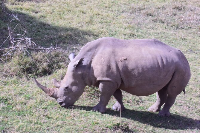Olpejeta Lake Nakuru & Masai Mara 5 Days and 4 Nights. - Accommodations Included