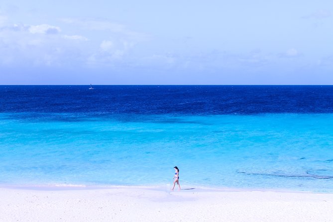 Orange Bay Island Full-Day Including Snorkelling - Lunch - Inclusions and Amenities