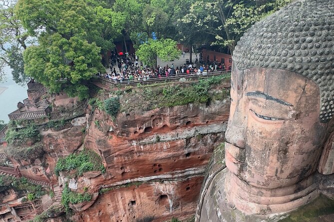 Panda, Leshan, and Emei Mountain 2-Day Tour