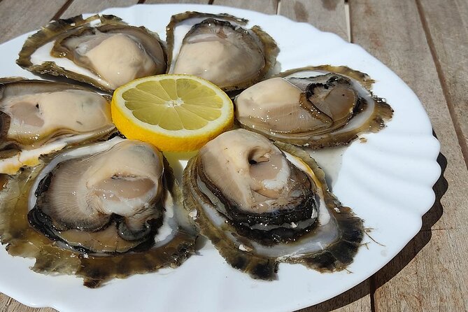 Perfect Private Oyster and Wine Tasting With Boat Ride - The Sum Up