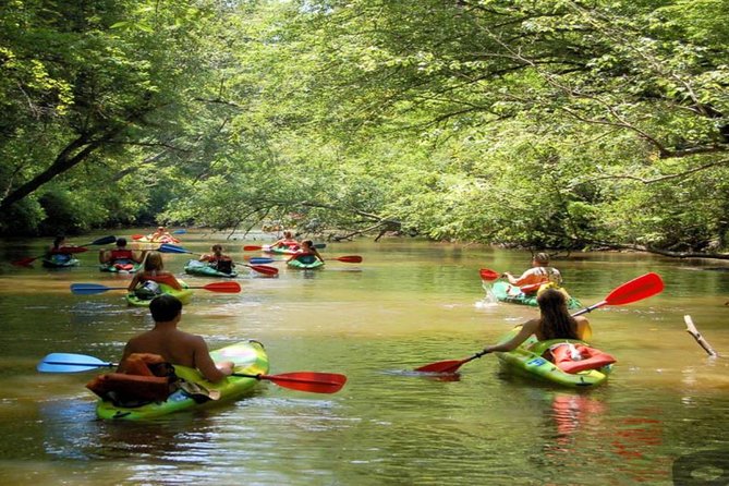 PHU QUOC Tour: Half- Day Discovery the North of Island - Tour Inclusions