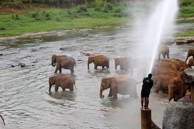 Pinnawela, Kandy & Tea Highlands 2 Days Tour - Exclusions