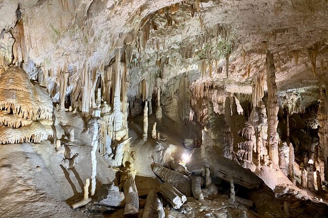 Postojna Cave and Predjama Castle Tour From Ljubljana - What To Expect