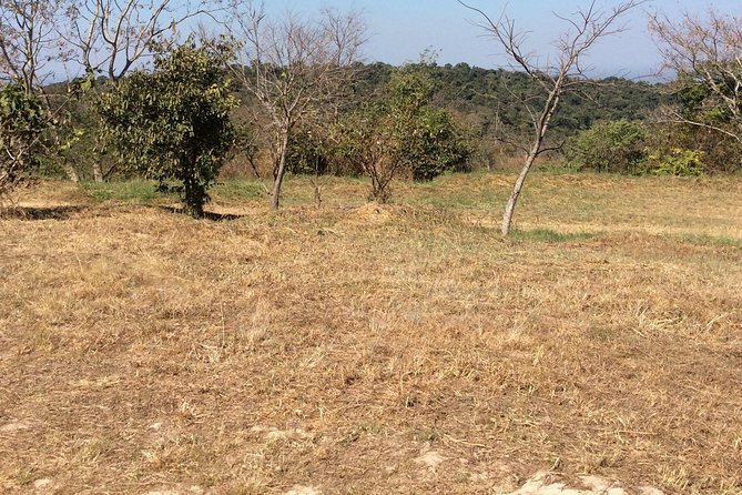 Preah Vihea Temple Tour by Car - Inclusions