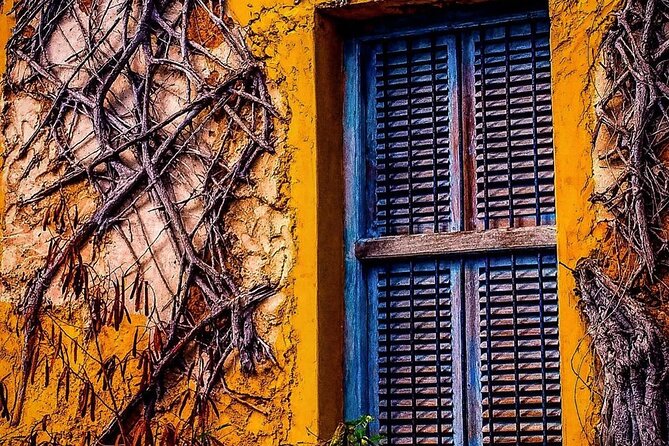 Prison Island Private Tour Zanzibar - Tips for Your Visit
