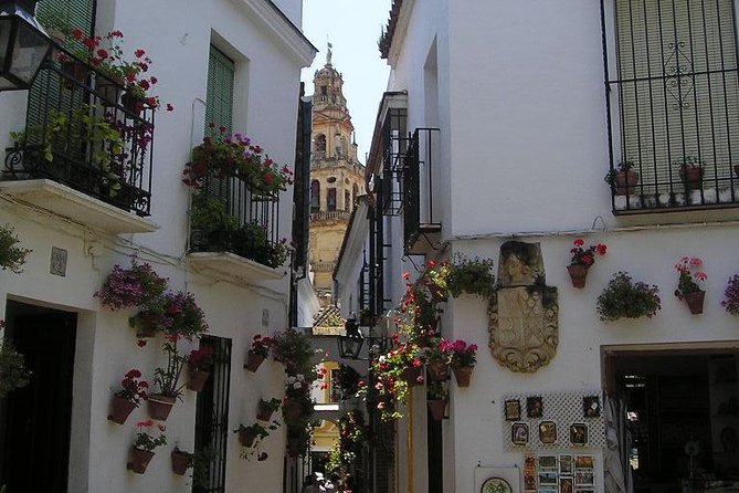 Private 10-Hour Tour to Cordoba From Seville With Hotel Pick up and Drop off - Pricing and Booking Details