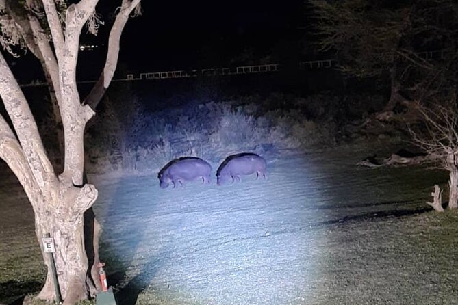 Private 4x4 Night Safari Tour in Victoria Falls - Booking and Policies