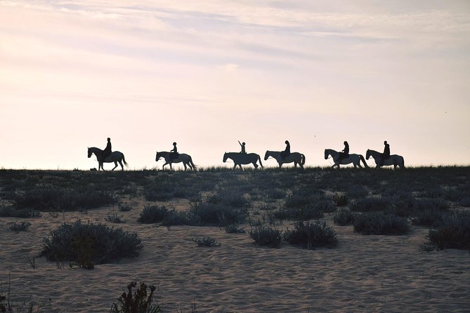 Private Alentejo Tour With Lunch and Horseback Ride Along Melides Beach - Pickup Information