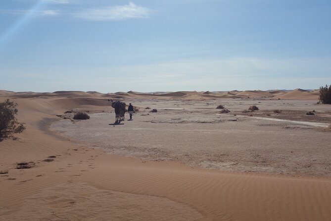 Private Camel Trekking Desert Tour in Morocco 7 Days - Itinerary Highlights