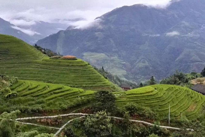 Private Day Tour to Longji Rice Terraces From Guilin
