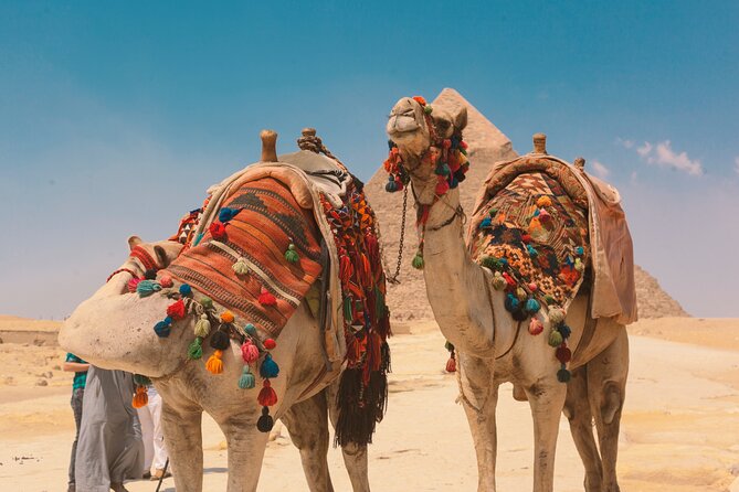 Private Day Trip to Cairo From Sharm by Air - Cancellation Policy