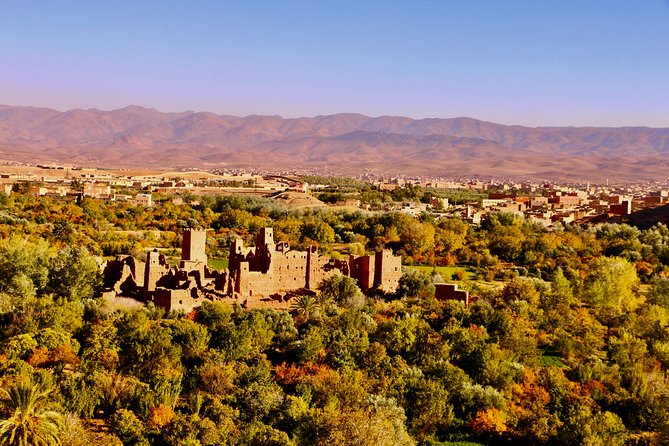 Private Day Trip to Dades and Todra Valley Including Lunch - Additional Details