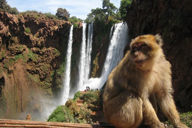 Private Day Trip to Ouzoud Waterfalls From Marrakech - Explore Berber Village
