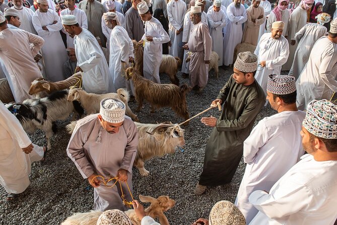 Private Explore Oman Grand Canyon, Jebel Shams and Nizwa - Inclusions