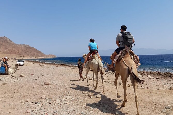 Private Full Day Snorkeling, Camel Ride Tour In Dahab From Sharm El Sheikh - Cancellation and Reservation