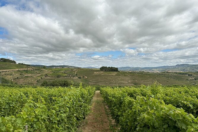 Private Full-Day Tour With Lunch and Wine Experience in Portugal
