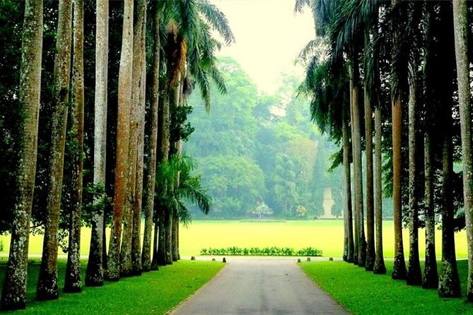 Private Fun Tour With Sri Lankan Boy (2 Days) - Duration and Meals Included