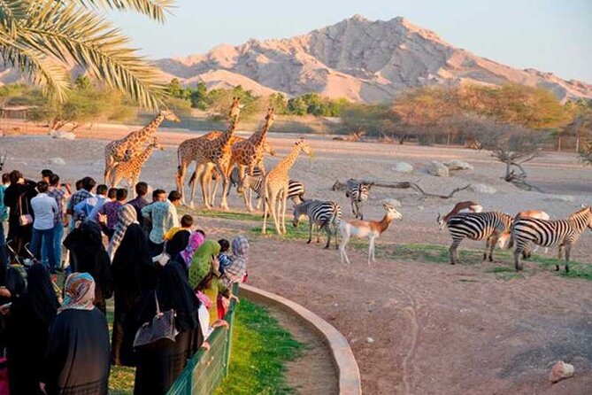 Private Garden City Tour With Zoo Ticket at Al Ain - Transport Details