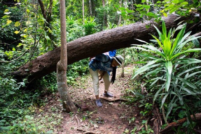 Private Jungle Hike to Bottle Beach and Boat Tour - Tour Details and Start Time
