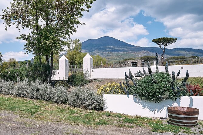 Private Luxury Transfer From Rome to Sorrento or Amalfi Coast - Frequently Asked Questions