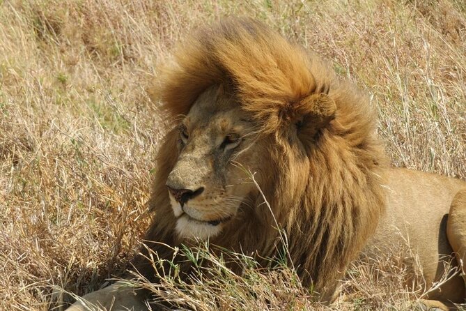 Private Road Transfer From Nairobi to Amboseli National Park - Directions