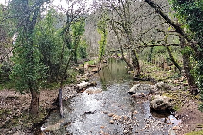 Private S. Simão Cliffs and Tomar Tour - Tour Highlights