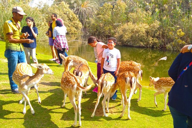 Private Safari Tour To Africano Park Alexandria From Cairo - Recommendations for Travelers