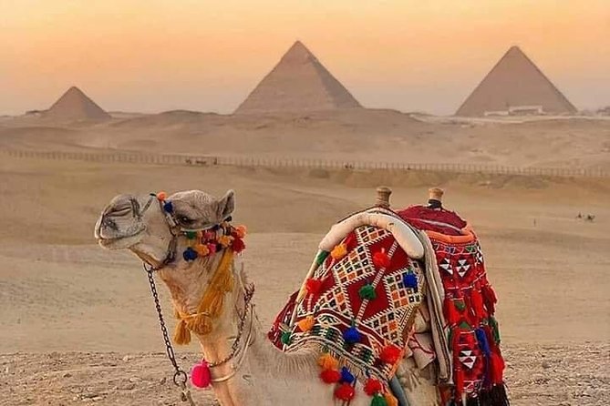 Private Tour at Giza Pyramids & Sphinx - Exclusive Experience