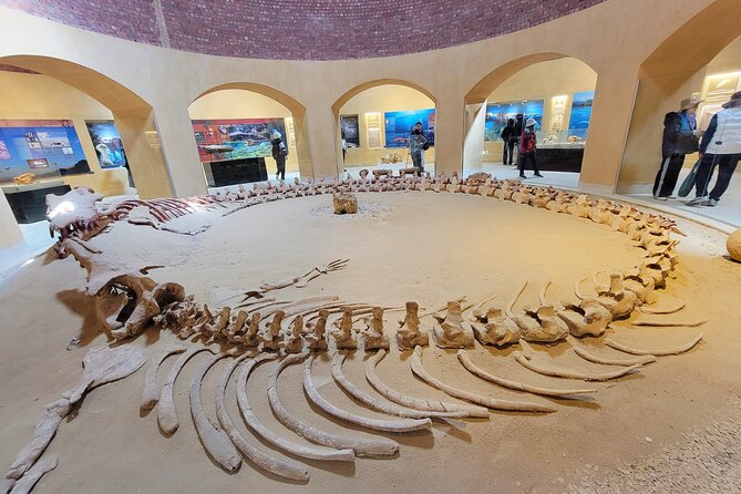 Private Tour Faiyum Oasis - Tips for a Memorable Experience