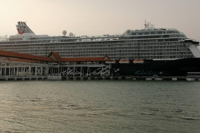 Private Tour : Kuala Lumpur Excursion With Petronas Entry Tickets - Port Klang - Pickup and Meeting Instructions