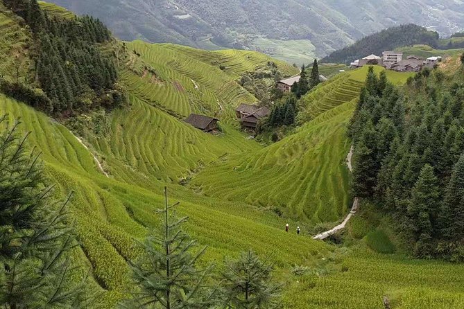 Private Tour to Longsheng Terrace&Long Hair Village From Guilin
