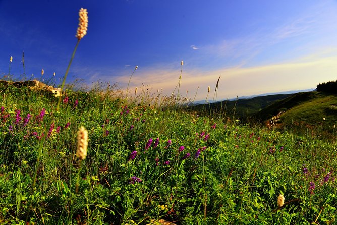 Private Transfer Between Beijing and Bashang Grassland in Mulan Weichang - Transfer Details