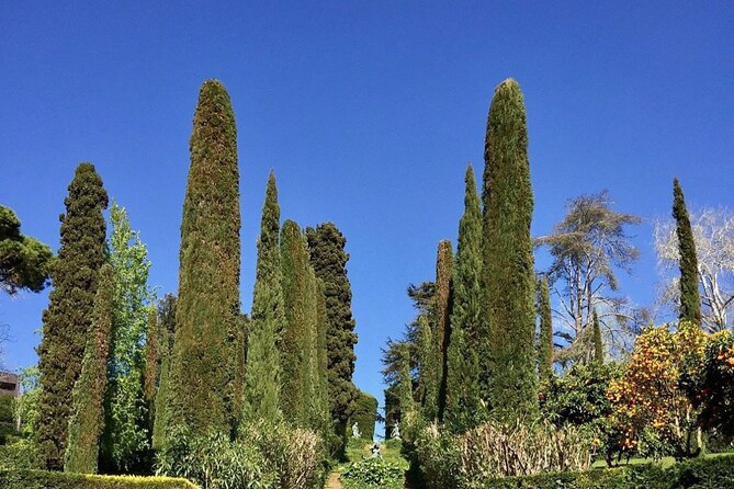 Private Transfer From Barcelona to Lloret De Mar - Pickup Information