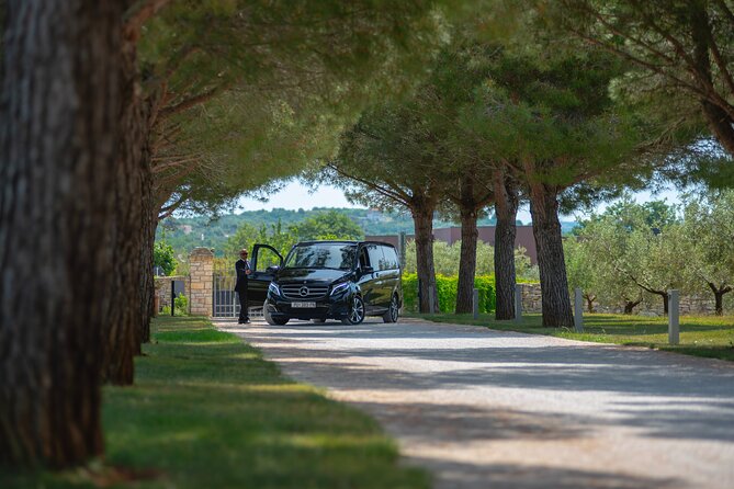 Private Transfer From Rovinj to Venezia/Treviso - Pickup and Drop-off