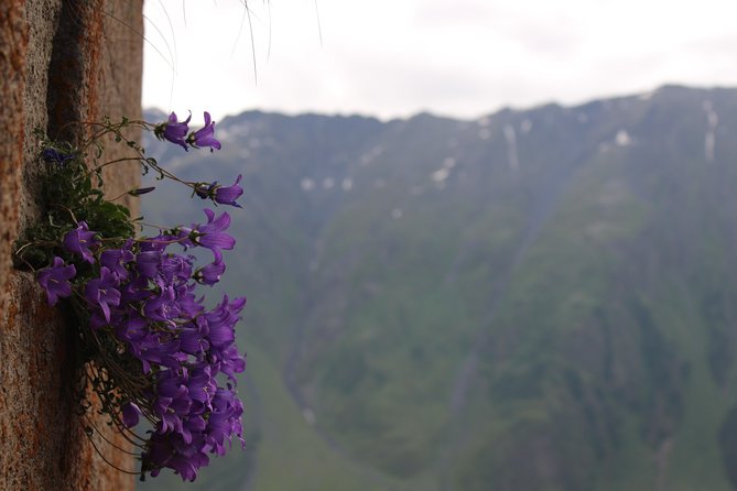 Private Trip to Jvari Kazbegi Gudauri With Airport Transfer - Booking Instructions