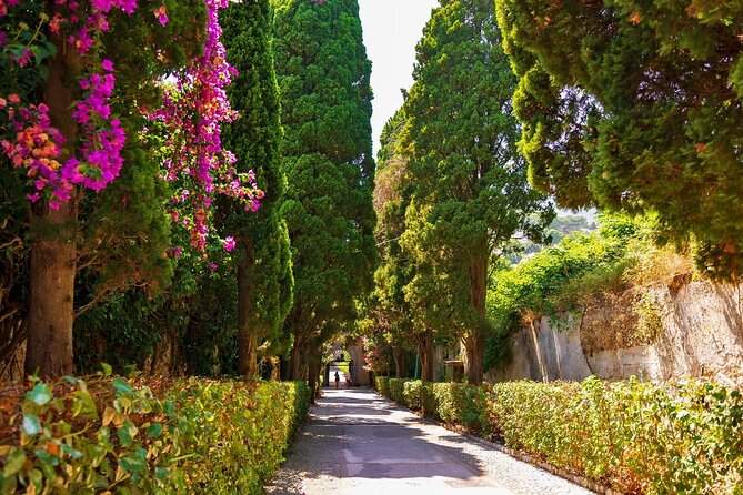 Private Walking Tour in Capri - Cancellation Policy