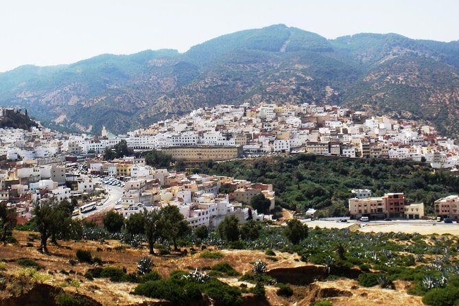 Private Walking Tour of the Medina in Fez - What To Expect