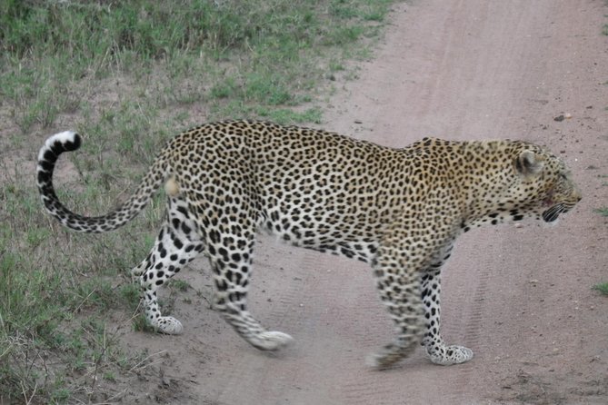 Pumba Tanzania Safari - Meeting and Pickup Information