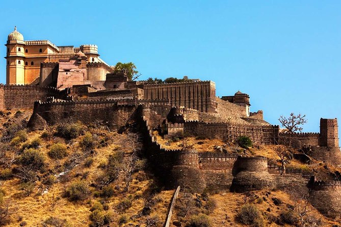 Ranakpur Jain Temple Skip-The-Line E-Tickets & Transfers W/ Optional Add Ons - Inclusions and Services