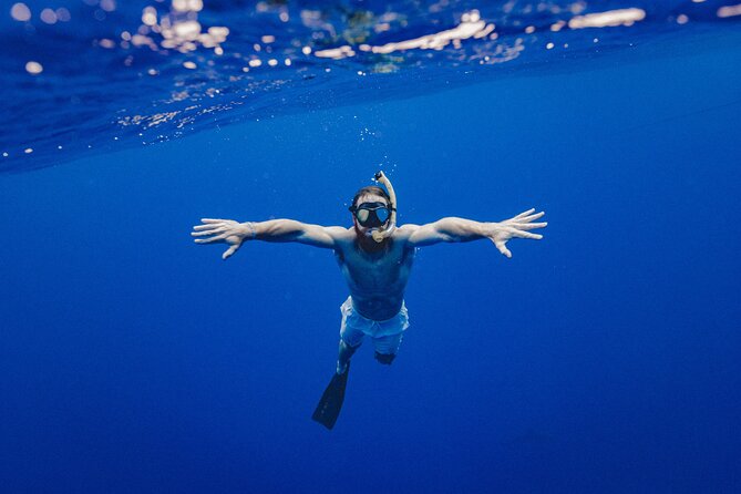 Ras Mohammed Snorkeling Tour by Boat - Safety and Accessibility