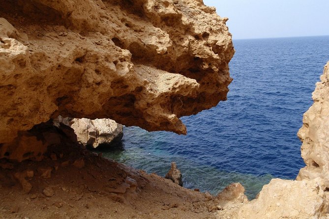 Ras Muhammed National Park Half Day by Bus With City Tour - Sharm El Sheikh - Service Accessibility