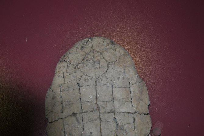 Relic of Shang Dynasty Capital City - Meeting and Pickup Information