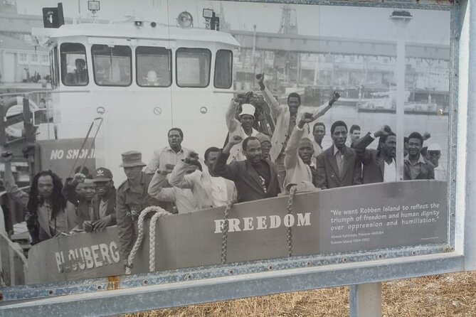 Robben Island, Penguins,Cape of Good Hope Private From Cape Town - Meeting and Pickup