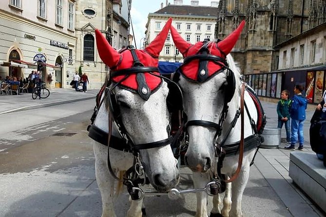 Sacher Cake and Fiakker Ride - a Private Vienna Tour From Budapest With Guide - Fiaker Ride Experience