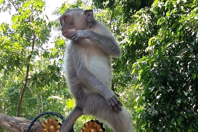 Sacred Monkey Forest Sanctuary and Silver Smith Class Tour in Bali - Frequently Asked Questions