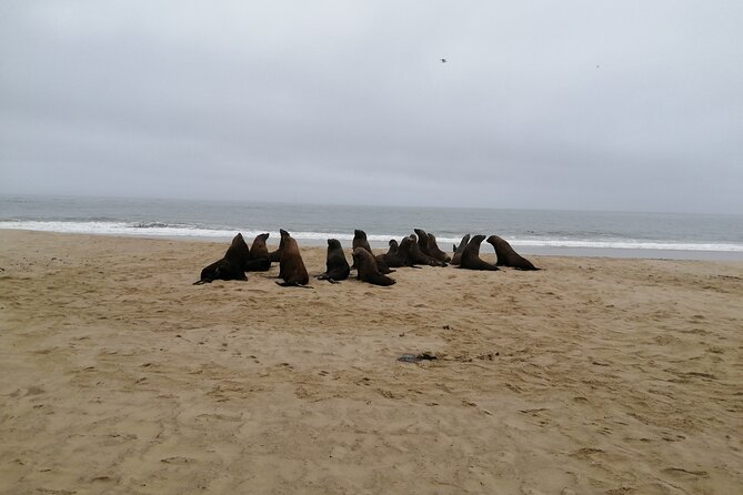 Sandwich Harbour 4×4 Tours - Tour Information
